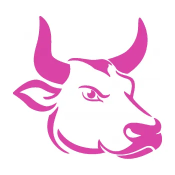 Samolepící dekorace Býk 009 pravá (16 - růžová) SAMOLEPKA NA AUTO, NÁLEPKA, FÓLIE, POLEP, TUNING, VLASTNÍ TEXT, TISK, AUTOSAMOLEPKY.cz, POLEPY, OBRÁZEK, LOGO, 3D STICKERS