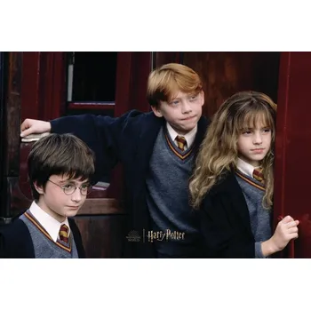 Plakát Plakát, Obraz - Harry Potter - Finally over