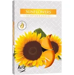 Bispol Aura čajová vonná svíčka 6 ks