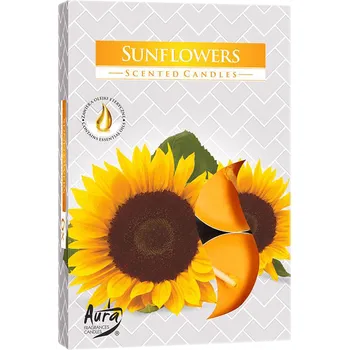 Bispol Aura čajová vonná svíčka 6 ks