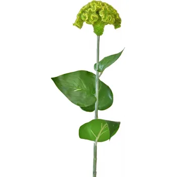 umělá květina Celosia zelená 64 cm (123992 001 K03956 celosie zelená)