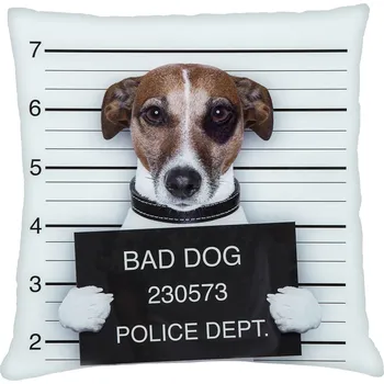 Polštář Polštář s motivem psa 34 Mybesthome 40x40 cm Varianta: Povlak na polštář, 40x40 cm