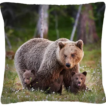 Polštář Polštář animal 07 - MEDVĚDI Mybesthome 40x40 cm Varianta: Povlak na polštář s výplní, 40x40 cm