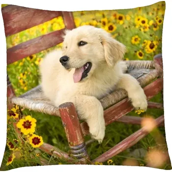 Polštář s motivem psa 15 Mybesthome 40x40 cm Varianta: Povlak na polštář, 40x40 cm