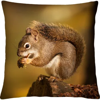 Polštář Polštář animal 70 VEVERKA II. Mybesthome 40x40 cm Varianta: Povlak na polštář, 40x40 cm