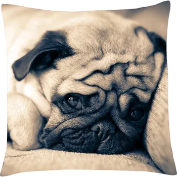 Polštář Polštář s motivem psa 22 mopsík, Mybesthome 40x40 cm Varianta: Povlak na polštář, 40x40 cm