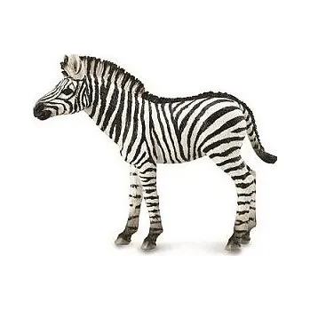 Figurka COLLECTA 88850 ZEBRA MLÁDĚ