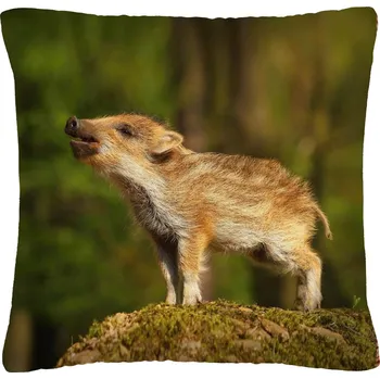 Polštář Polštář animal 11 - DIVOKÉ PRASE Mybesthome 40x40 cm Varianta: Povlak na polštář, 40x40 cm