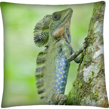Polštář Polštář ANIMAL 21 - LEGUÁN Mybesthome 40x40 cm Varianta: Povlak na polštář, 40x40 cm
