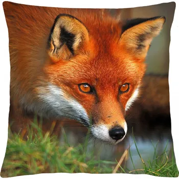 Polštář Polštář animal 51 - LIŠKA NA LOVU Mybesthome 40x40 cm Varianta: Povlak na polštář, 40x40 cm