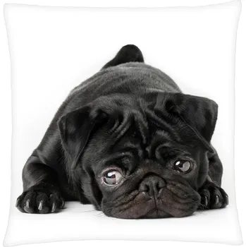 Polštář Polštář s motivem psa 24 mopsík, Mybesthome 40x40 cm Varianta: Povlak na polštář, 40x40 cm
