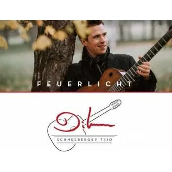 Zahraniční hudba CD Diknu Schneeberger Trio: Feuerlicht 2018