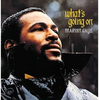 Zahraniční hudba What's Going On - Marvin Gaye [2LP]
