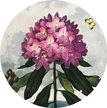 Fototapeta Fototapeta vliesová Rododendron 190 cm