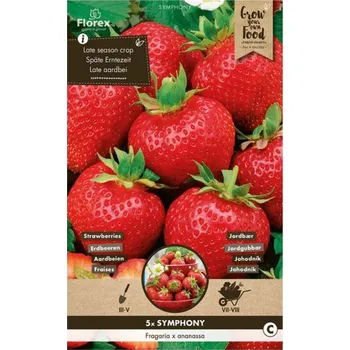 Semeno Florex Jahodník Symphony 5 ks