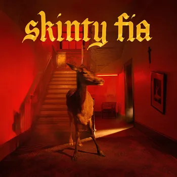 Zahraniční hudba Skinty Fia - Fontaines D.C.