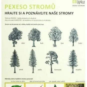 Jehlicnate Stromy Druhy (České republice, jehličnatých stromů, České republice přirozeně) Jehlicnate Stromy Druhy