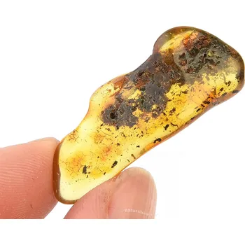 Přírodní kámen Jantar z Litvy (2,21g)