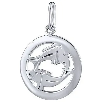 Přívěsek Stříbrný přívěsek znamení zvěrokruhu Ryby - kulatý SILVEGOB10283S03