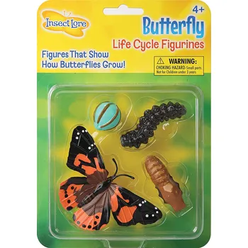Insect Lore Životní cyklus Motýl