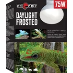 Repti Planet Daylight Frosted