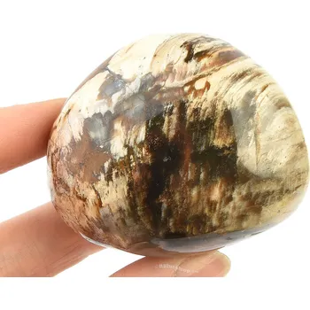 Přírodní kámen Zkamenělé dřevo z Madagaskaru 185g