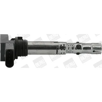 BorgWarner ZSE059