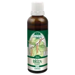 Naděje Bříza bělokorá tinktura z pupenů 50 ml