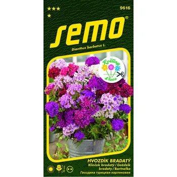 Semeno SEMO Hvozdík bradatý Fragrance mix 0,5 g