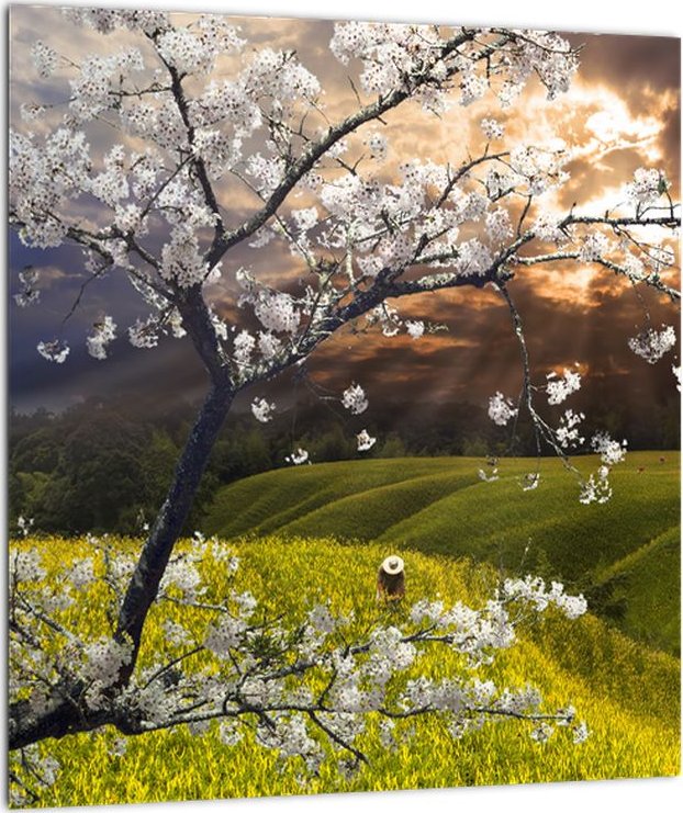 LuxusniObrazy.cz Obraz - Rozkvetlý strom v krajině
