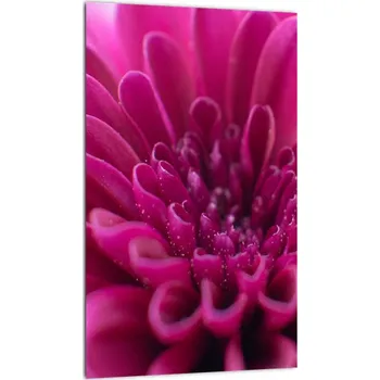 Obraz LuxusniObrazy.cz Obraz květiny