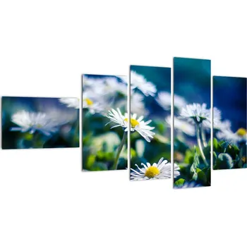 Obraz LuxusniObrazy.cz Obraz sedmikrásek