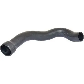 Hadička plnicího vzduchu BUGIAD 81630