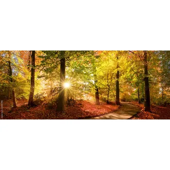 Obklad Skleněný obklad do kuchyně Podzimní les 292873910