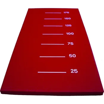 Žíněnka Žíněnka pro skok do dálky 200x100x6 cm, zelená