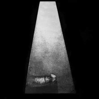 Zahraniční hudba CD Whitehouse: Erector 2020 Reissue Legacy Re Issue Susan Lawly Edition