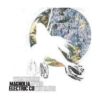 Zahraniční hudba CD Magnolia Electric Co.: What Comes After The Blues 2005