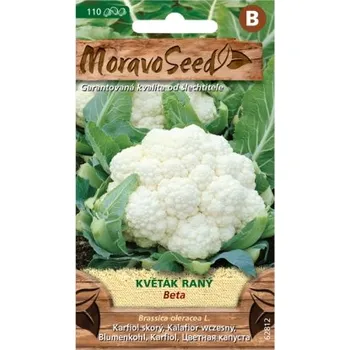 Pěstitelství Květák raný BETA 62812