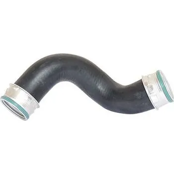 Auto-moto Hadička plnicího vzduchu BUGIAD 87601