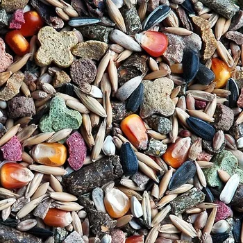 Krmivo pro hlodavce Apetit hlodavec morče 3 l