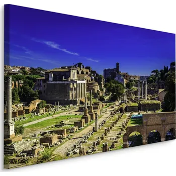Plátno Pohled Na Forum Romanum Varianta: 30x20