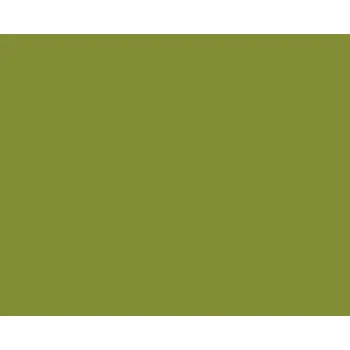 Prostěradlo Prostěradlo Jersey 90x190-100x220x30 559 avocado elastan Schlafgut