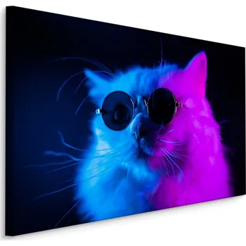 Dekorativní polštářek MyBestHome BOX Plátno Kočka Se Slunečními Brýlemi Varianta: 30x20