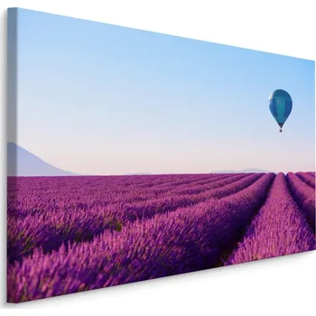 Obraz Plátno Balón Nad Levandulovým Polem Varianta: 90x60