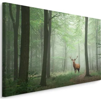 MyBestHome BOX Plátno Jelen V Mlžném Lese Varianta: 30x20