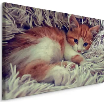 MyBestHome BOX Plátno Malé Kotě Varianta: 40x30