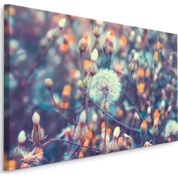 Plátno Pampelišky Na Louce Varianta: 30x20