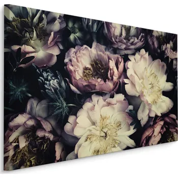 Obraz Plátno Pivoňky V Tmavých Barvách Varianta: 30x20