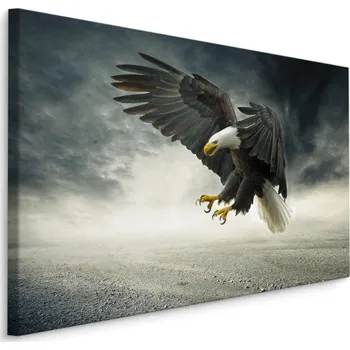 Obraz MyBestHome BOX Plátno Orel Během Bouře Varianta: 30x20