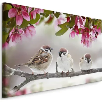 Obraz Plátno Vrabci Ptáci Varianta: 30x20